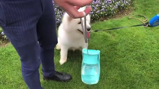 Dog Portable Water Bottle Foldable Pet Water Dispenser Pet Products